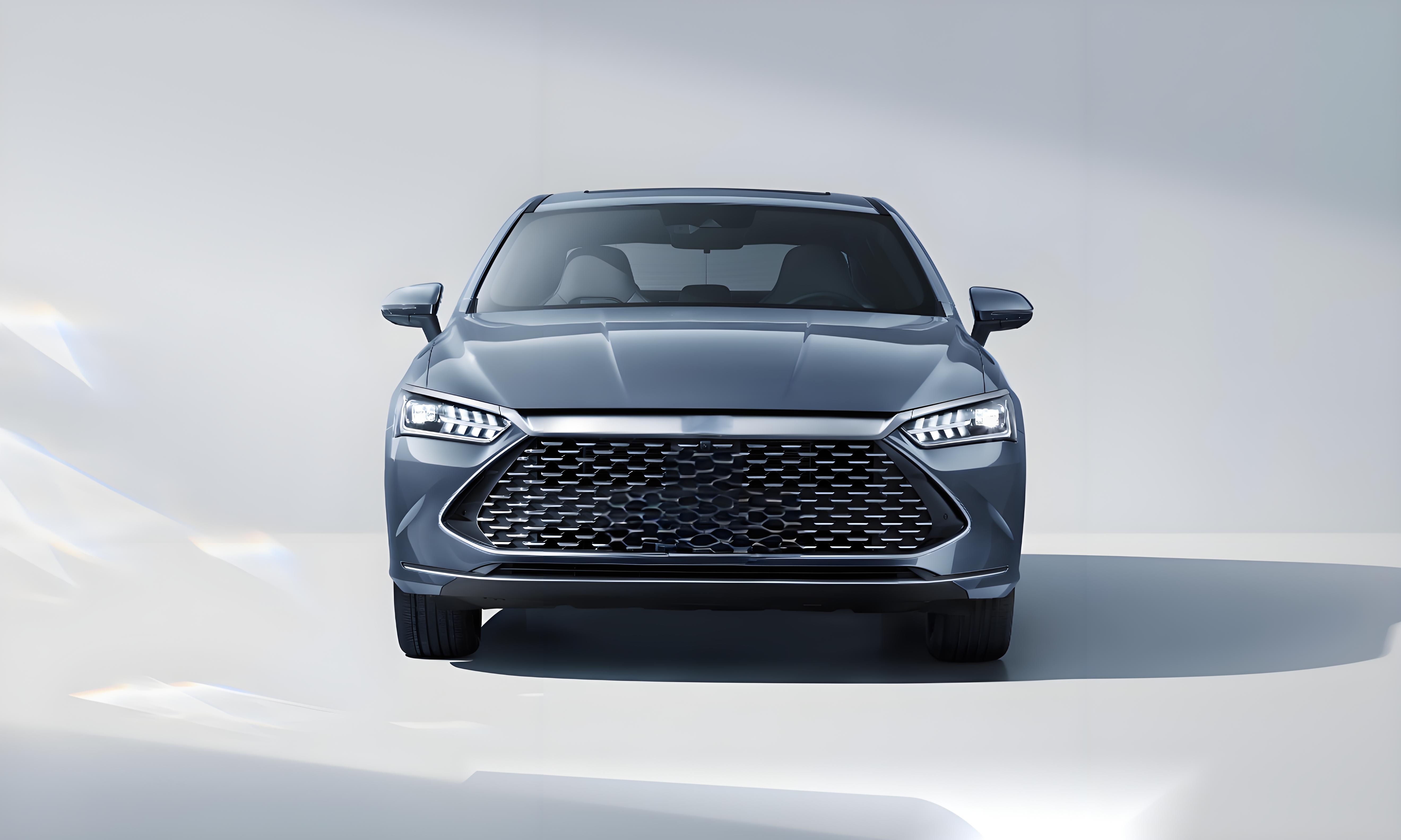 BYD----BYD Qin PLUS DM